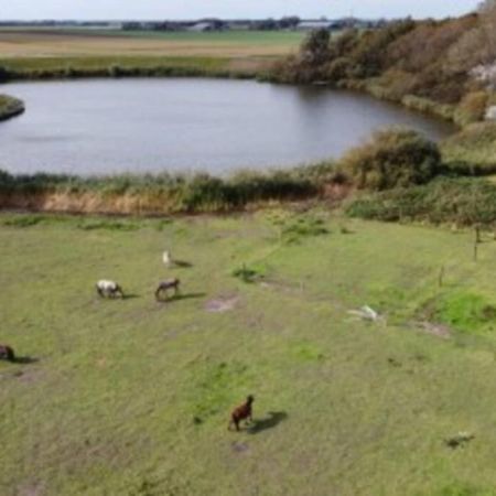 B&B Hoeve Dijkstal Logeren Op De Boerderij Άγιος Μαρτίνος Εξωτερικό φωτογραφία