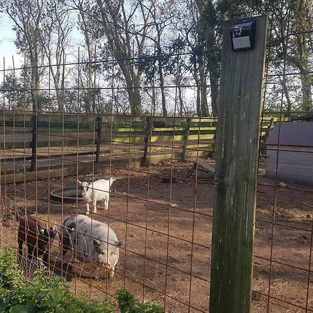 B&B Hoeve Dijkstal Logeren Op De Boerderij Άγιος Μαρτίνος Εξωτερικό φωτογραφία