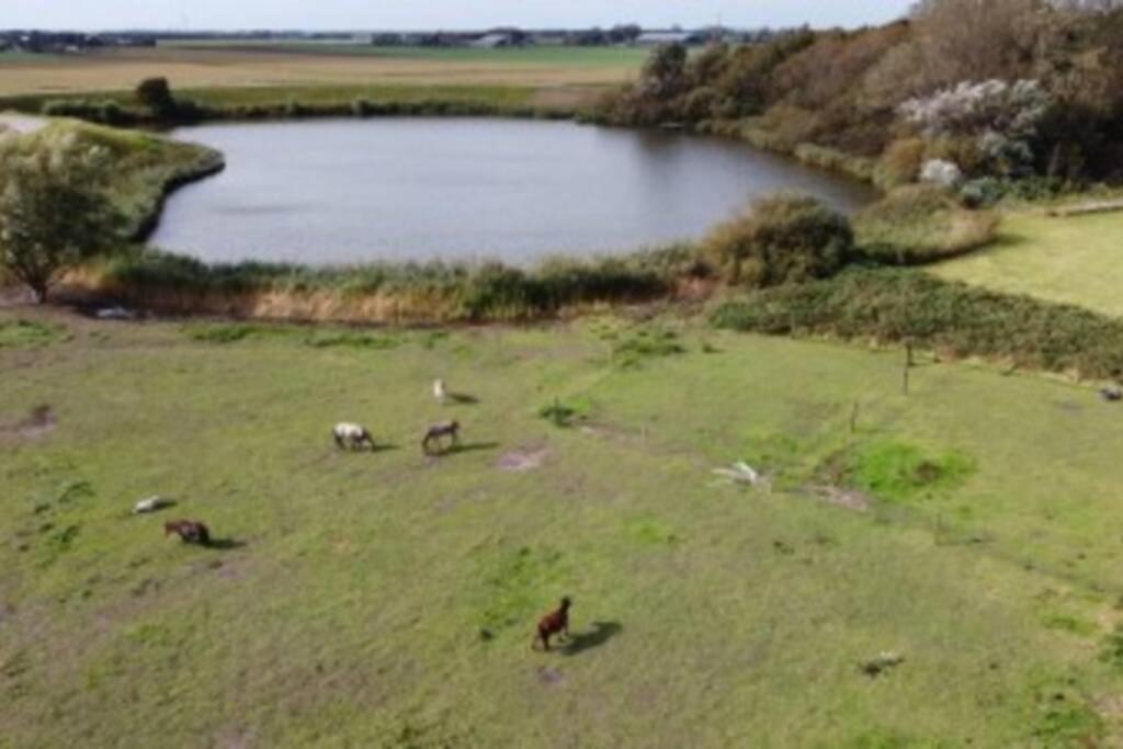 B&B Hoeve Dijkstal Logeren Op De Boerderij Άγιος Μαρτίνος Εξωτερικό φωτογραφία